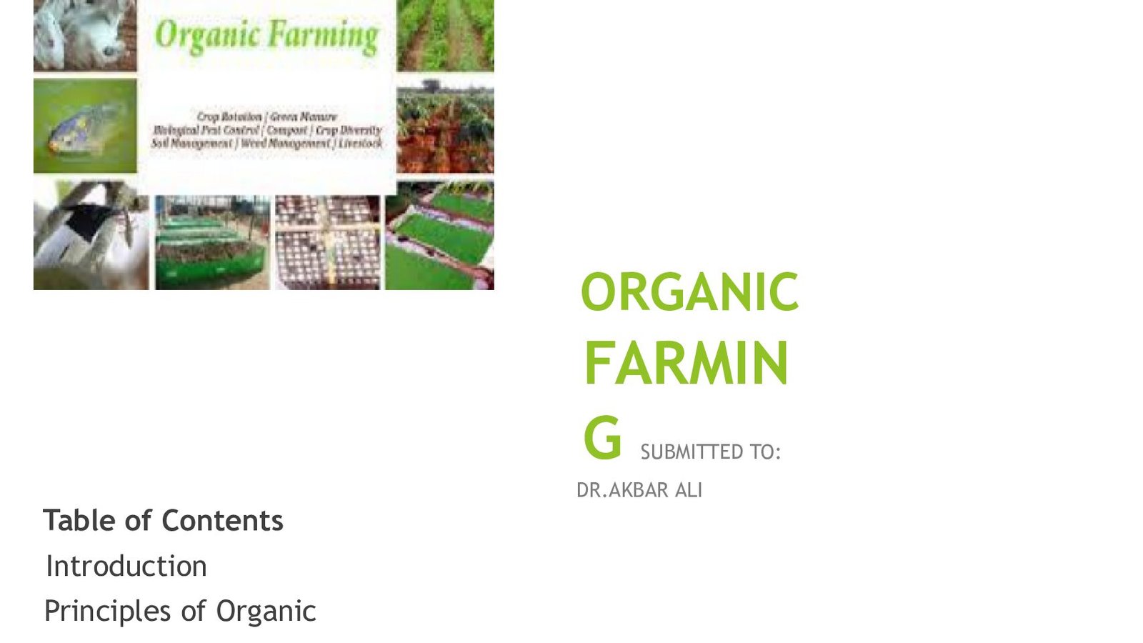 Principles, Benefits, and Global Adoption of Organic Farming