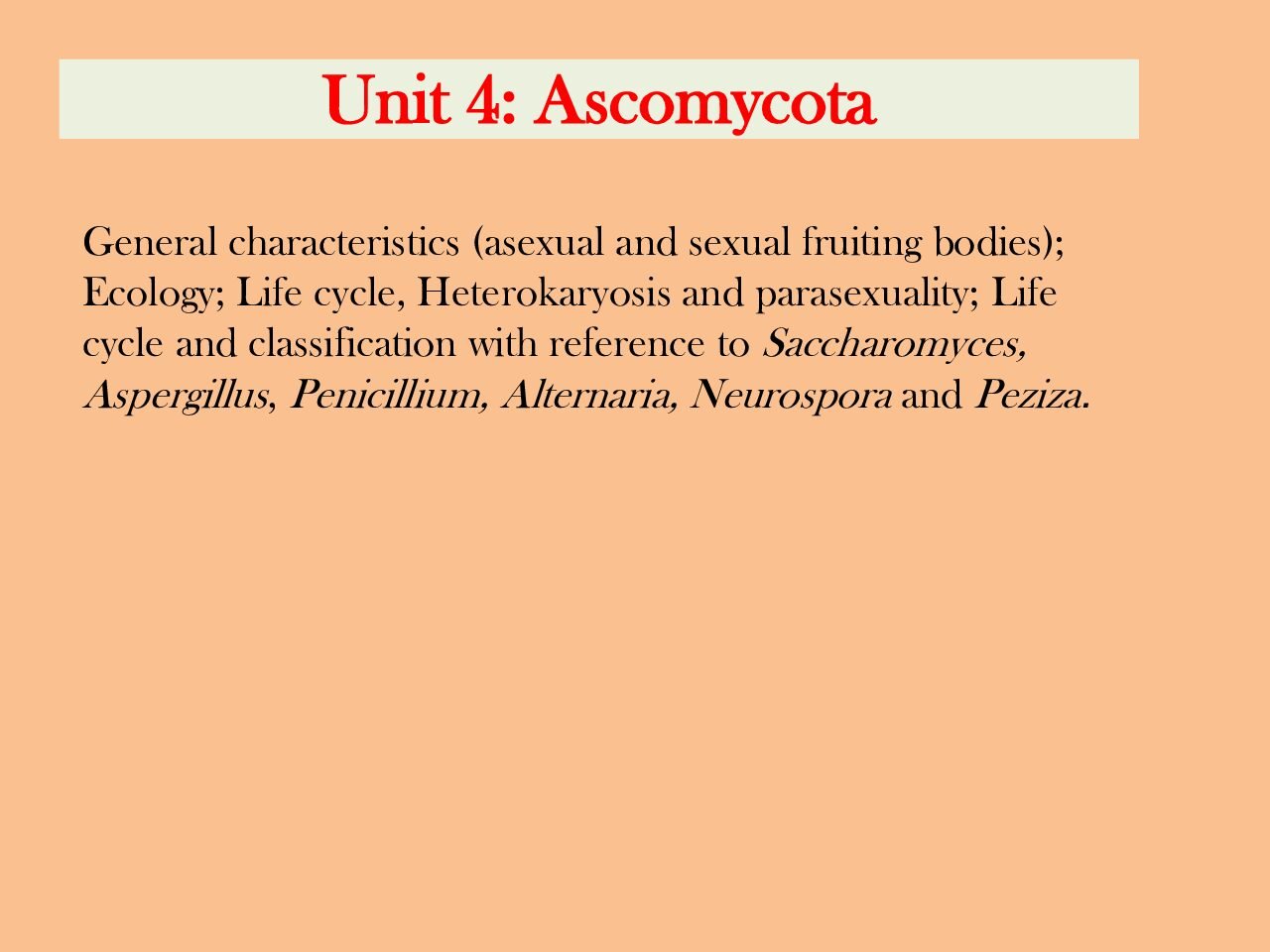 Ascomycota – General Characteristics, Ascus Formation, and Life Cycles