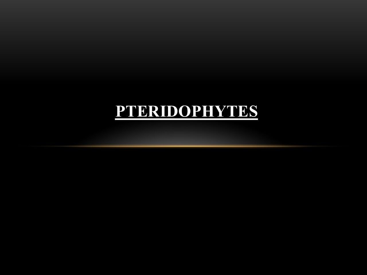 Heterospory Phenomenon and Its Origin in Pteridophytes