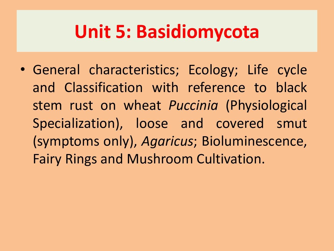 Penicillium – Morphology, Reproduction, and Economic Importance