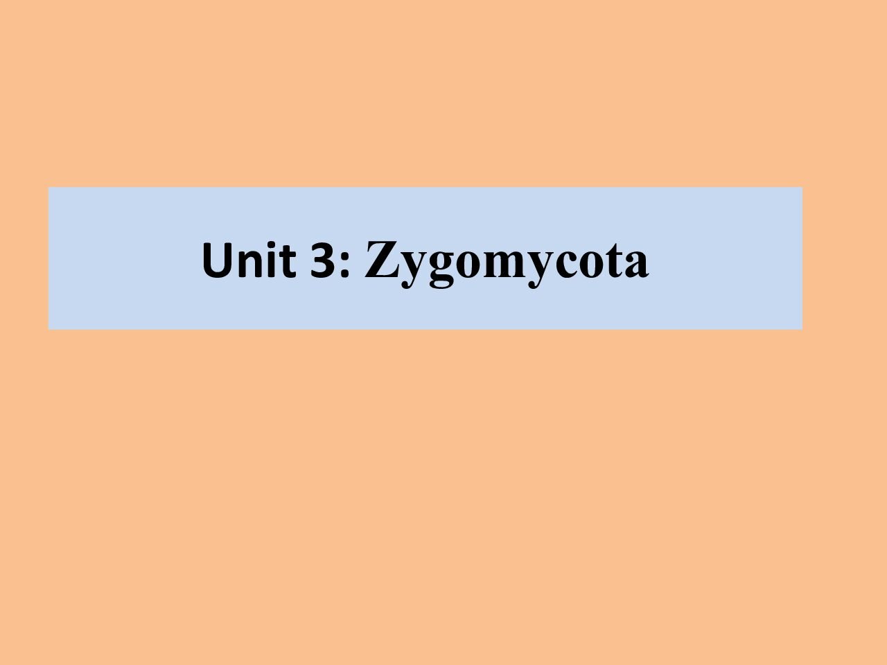 Zygomycota – General Features, Reproduction, and Life Cycles