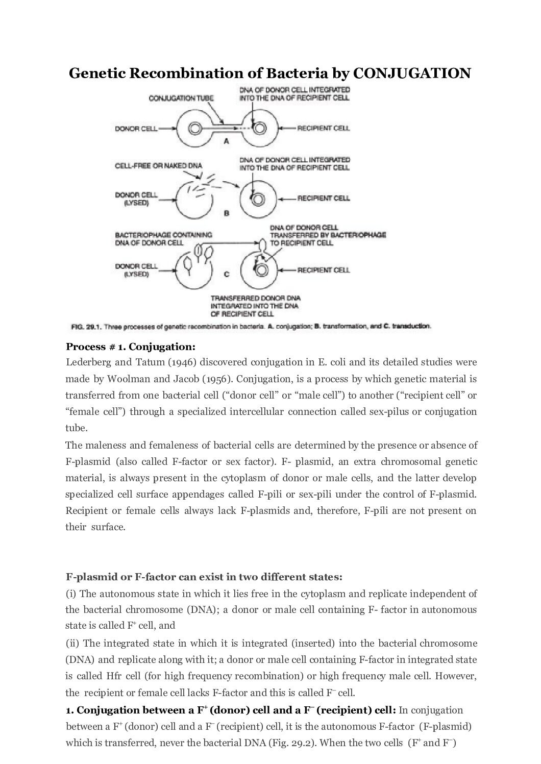 Bacterial Conjugation – Direct DNA Transfer via Pili and F Plasmids