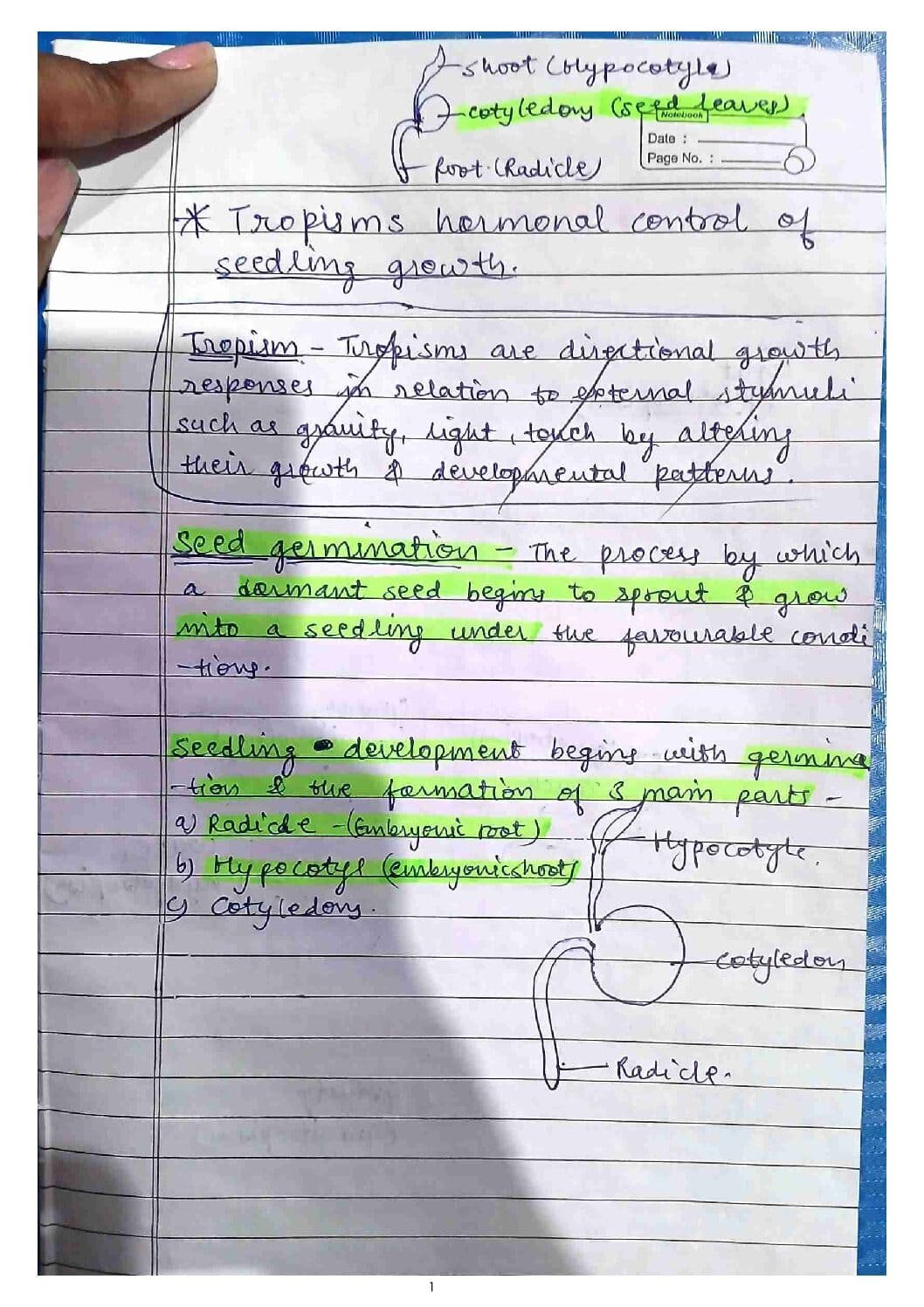 icrobiology practical assignment covering laboratory techniques, experimental procedures, and analysis of microbial identification and culture methods.