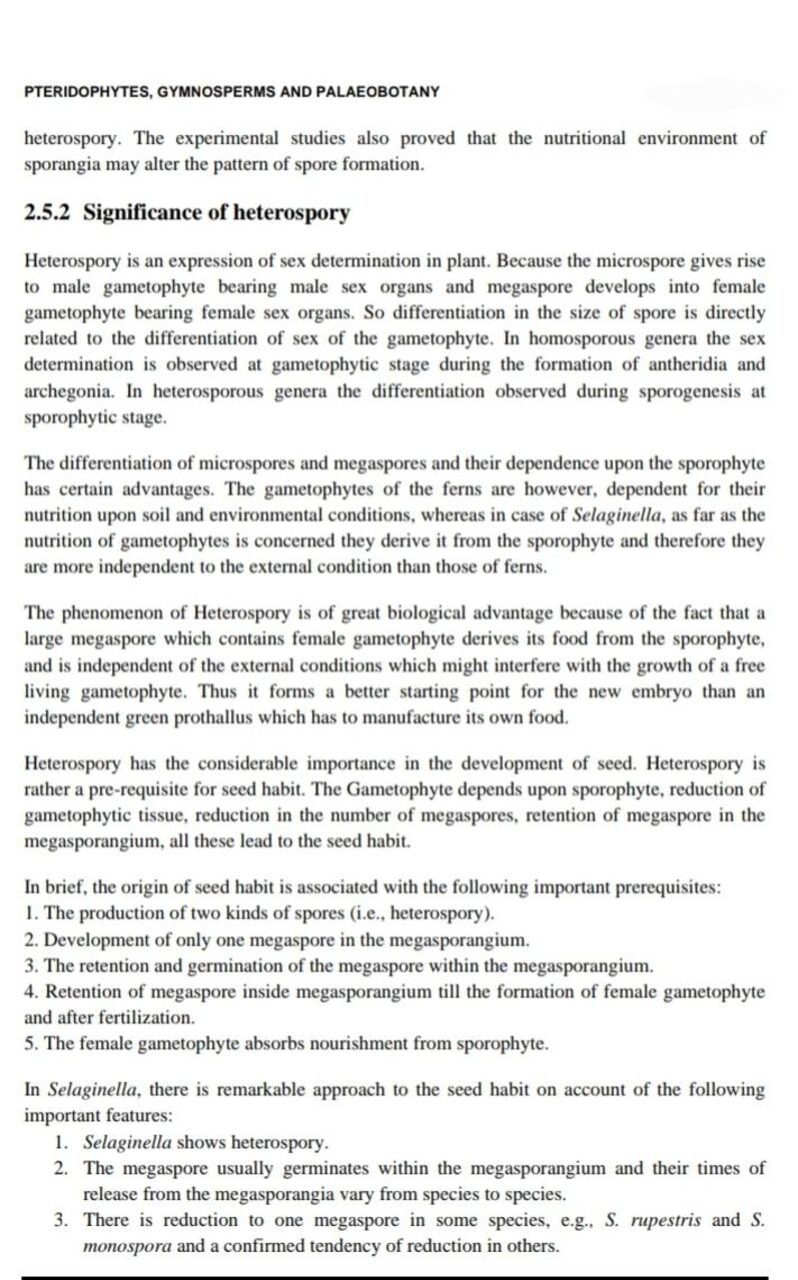Pteridophytes, Gymnosperms, and the Origin of Seed Habit (Heterospory)