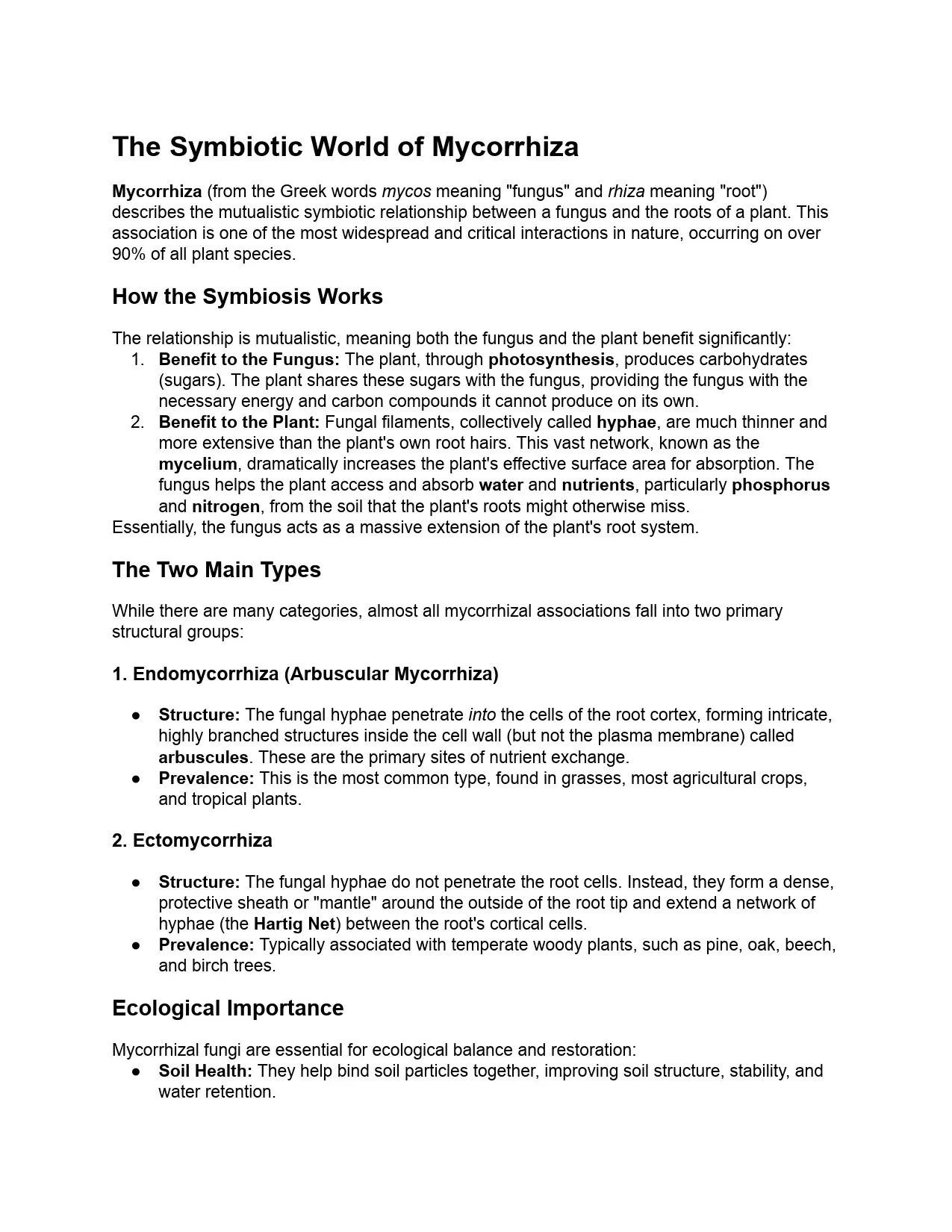 The Symbiotic World of Mycorrhiza